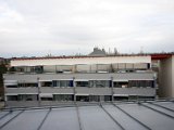 IMG_3105.jpg