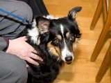 IMG_4396.jpg