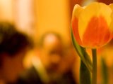 IMG_4686.jpg