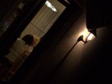 IMG_5419.CR2