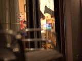 IMG_5421.CR2