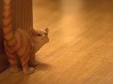 IMG_5430.CR2