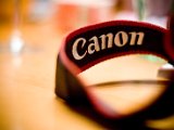 IMG_5447.jpg