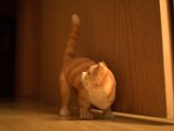 IMG_9116.CR2