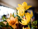IMG_5523.jpg
