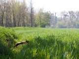 IMG_0065.jpg