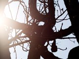 IMG_0066.jpg