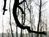 IMG_0069.jpg