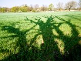 IMG_8176.jpg
