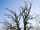 IMG_8181.jpg