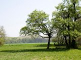 IMG_8222.jpg