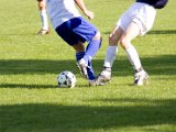 IMG_7251.jpg