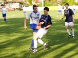 IMG_7533.jpg