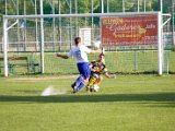 IMG_7567.jpg