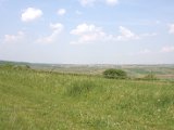 IMG_0492.CR2