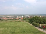 IMG_0494.CR2