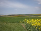 IMG_0621.CR2