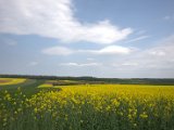 IMG_0625.CR2