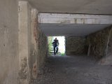 IMG_0645.CR2
