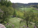 IMG_0659.CR2