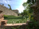 IMG_0682.CR2