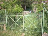 IMG_0685.CR2