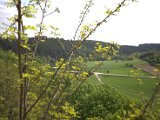 IMG_0688.CR2