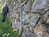 IMG_0731.CR2