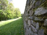 IMG_0740.CR2