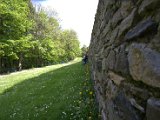 IMG_0742.CR2