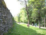 IMG_0749.CR2