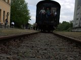 IMG_0806.CR2