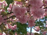 IMG_0834.CR2