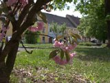 IMG_0835.CR2