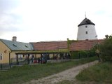 IMG_8290.CR2
