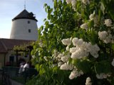 IMG_8357.CR2