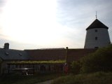 IMG_8359.CR2