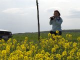 IMG_8581.CR2