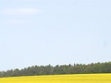 IMG_8648.CR2