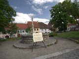 IMG_8667.CR2