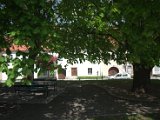 IMG_8672.CR2