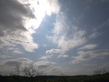 IMG_8680.CR2