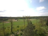IMG_8696.CR2
