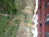 IMG_8702.CR2