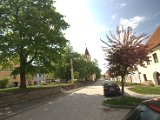 IMG_8735.CR2