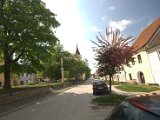 IMG_8736.CR2