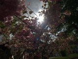 IMG_8737.CR2