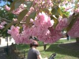 IMG_8750.CR2