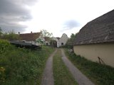 IMG_8782.CR2