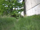 IMG_8866.CR2